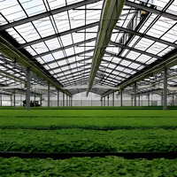Serre BAIXINXIN |   Structure de cadre de serre |   Grandes serres en plastique multi-voûtes, usage professionnel, anti-goutte, pour jardin