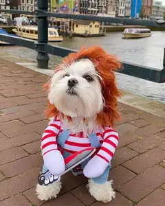 Cadılar bayramı kedi/köpek giysileri peruk ve bıçak yenilik komik korkunç sahne kıyafet giyim aksesuarları Chucky ölümcül Pet kostüm