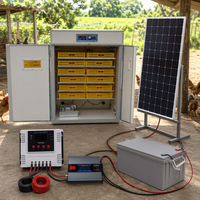 Incubateur d'œufs solaire commercial 1056 œufs, couveuse automatique pour distributeurs de volailles
