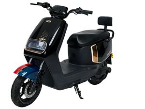 Modelo N1 ----- <span class=keywords><strong>Bicicleta</strong></span> Eléctrica, Motocicletas Vintage de Venta Caliente, Motocicleta Eléctrica de Bajo Precio y Alta Velocidad, Motocicleta Eléctrica - Product Image 5