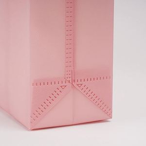 Bolsa Térmica Portátil para Exteriores, Desechable, de Tela No Tejida, para Llevar Comida, Bolsas de Almuerzo, Aisladas - Product Image 6