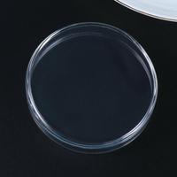 Aquarium crevettes alimentation plat bol bol mangeoire plateau récipient verre crevettes alimentation plat pour crevettes nourriture