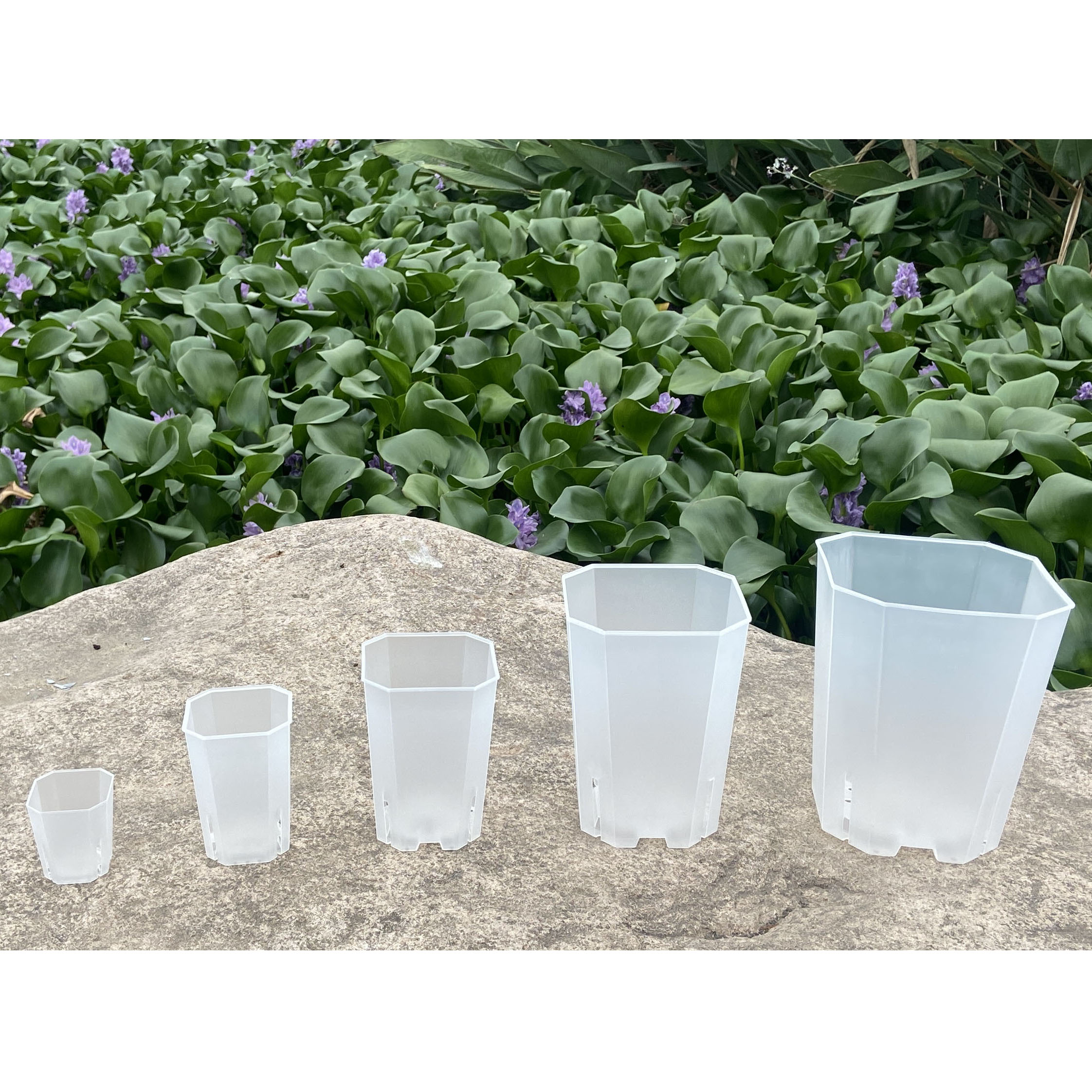 Macetas de plástico transparente para decoración de jardín, Macetas cuadradas para flores suculentas, bonsái