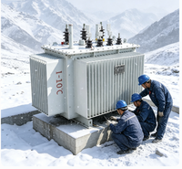 Transformateur immergé dans l'huile à trois bobinages Rainbow S13 315 kVA 10 kV/0,4 kV triphasé 50 Hz entièrement étanche