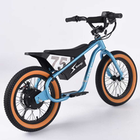 Vélo d'équilibre électrique pour enfants 350W, sans pédales, 16 pouces, jouet électrique pour enfants