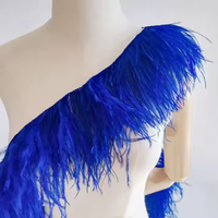 Frange en plumes d'autruche moelleuses de 15-18 cm, garniture en dentelle de plumes naturelles à 2 plis pour robe, déguisement et décoration de fête et de danse