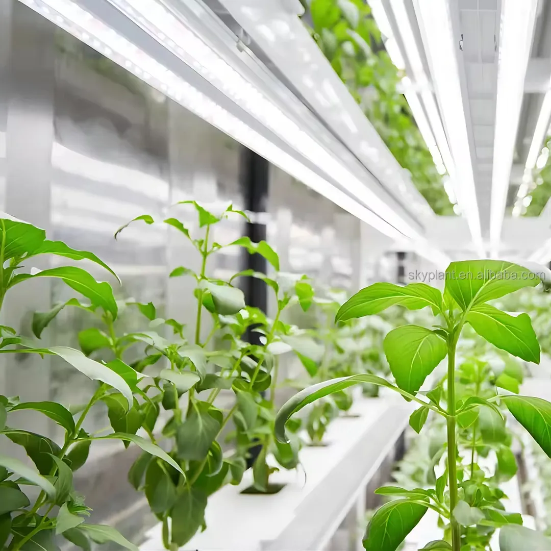 Skyplant Indoor-Wasserkultur gewerbliches mikro-grün-Anbausystem Wasserkultur-Pflanzensystem Gewächshaus Wasserkultur-Container-Bauernhof