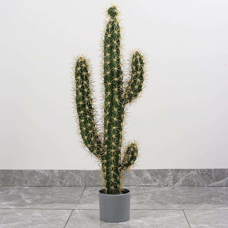 Jingwei pillar yellow thorn 1.1m