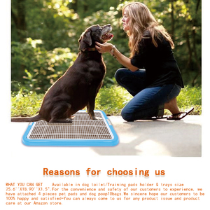 <span class=keywords><strong>Indoor</strong></span>/Outdoor Puppy Bandeja Potty para cães pequenos e médios Pet Eliminação de Resíduos Doggie <span class=keywords><strong>Toilet</strong></span> Training com Pee Pad Holder - Product Image 2