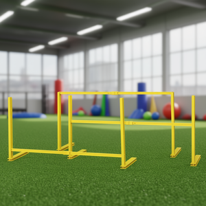 Barret <b>Mini</b> Hurdle Kids Plastic Adjustable 10 50 Cm Indoor Use - Product Image 3