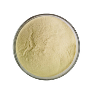 Wholesale Organic Powder Pine Pollen