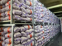 Ail frais en vrac de Chine, prix de gros, ail blanc pur et normal pour l'exportation