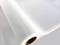 HyperTransprint - Lámina DTF A3 de 30 cm, Película PET de Doble Cara, Transferencia de Calor Instantánea a Alta Temperatura, Papel de Transferencia Térmica en Frío, Negro