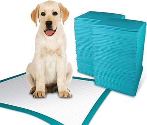OEM Service Factory Portable Disposable Pet Changing Urine Mat Diaper Super Absorbent <b>Puppy</b> Cat Toilet Dog Training <b>Pad</b> - Product Image 2