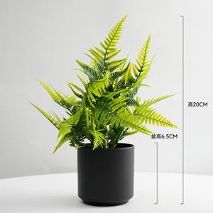 <span class=keywords><strong>Bonsai</strong></span> hoja persa Micro paisaje decoración helecho en maceta Artificial para sala de estar decoración de escritorio planta verde para el hogar - Product Image 5