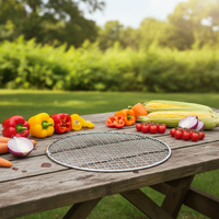 Grilles de barbecue rondes en acier inoxydable personnalisées, filet de barbecue en métal, maille soudée galvanisée, résistant aux hautes températures