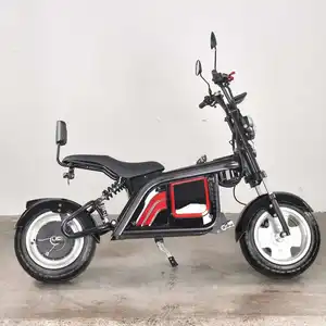 Electric Motorcycle Chinese Factory Adult Motorcycle Mobility