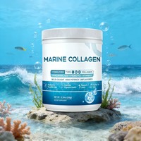 Collagène Marin Hydrolysé en Poudre Type I & III - Acide Hyaluronique Amélioré, Probiotiques, Vitamine E, Qualité Alimentaire, Bouteille de 350g, Pour Femme, Éclat Radieux