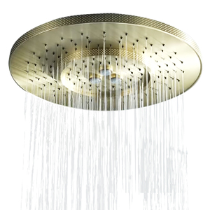 Phong Cách Hiện Đại Brass & Thép Không Gỉ Trần Đầu Vòi Sen Với Mưa Mùa Thu Phun Chải Vàng Kết Thúc Cho Nhà Căn Hộ Phòng Tắm - Product Image 1