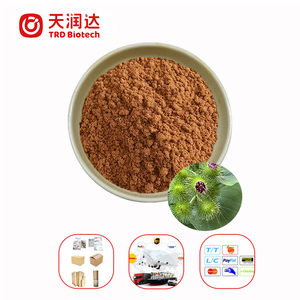 Poudre d'extrait de racine de bardane 30% polysaccharide biologique Supplément d'extrait de bardane de qualité <span class=keywords><strong>alimentaire</strong></span> Supplément d'extrait de <span class=keywords><strong>gingembre</strong></span> naturel - Product Image 1