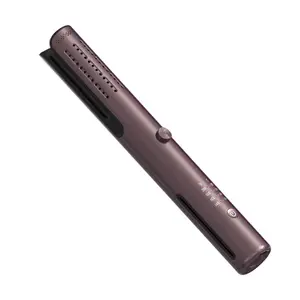 2024 bidisco portatile personalizzato USB Travelling 2 in 1 Cordless capelli bigodino e piastra Wireless flusso d'aria ferro per capelli