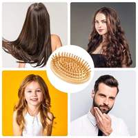 Brosse à cheveux en bois écologique compacte avec coussin d'air, démêlante et massante