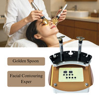 Appareil de mésothérapie par électroporation Golden Spoon, masseur pour le visage et le cou, raffermissant de la peau, anti-âge, fournitures pour esthéticiennes