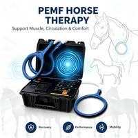 Système de boucle PEMF équine pour le bien-être sportif des chevaux