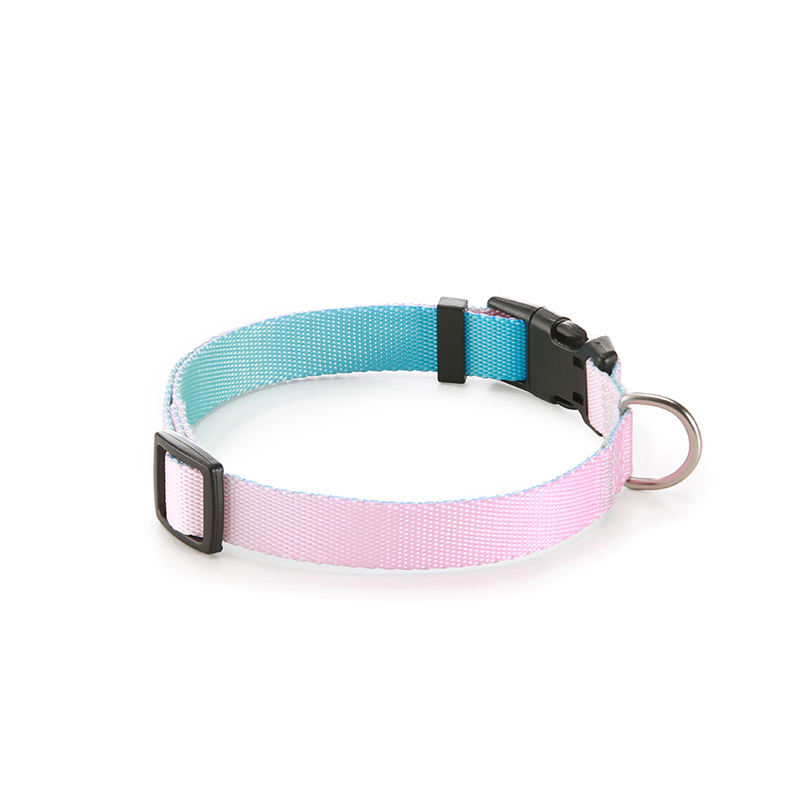 Pink gradient-collar