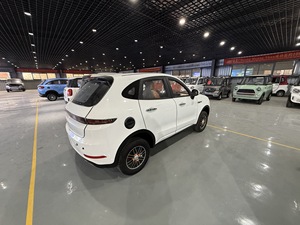 Nuevo vehículo eléctrico de cuatro ruedas completamente cerrado New Energy Electric Four-wheel Vehicle Mini Car - Product Image 5