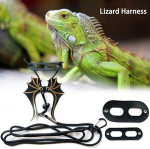 Kekang Kadal Naga Berberuang, dengan Sayap Keren dan Tali Yang Dapat Disesuaikan 3 Ukuran Pak Cocok untuk Reptil Babi Belanda Iguana Tupai - Product Image 3