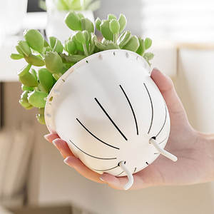 <span class=keywords><strong>Maceta</strong></span> de plástico transparente, <span class=keywords><strong>maceta</strong></span> autoabsorbente perezosa, planta hidropónica <span class=keywords><strong>sin</strong></span> riego - Product Image 3