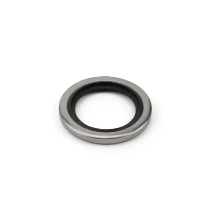 Swagelok loại thép không gỉ đôi ferrule nén ống phụ kiện đường ống BS BP BG Gasket