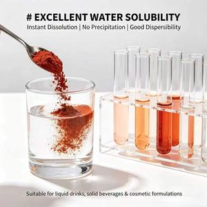 <span class=keywords><strong>Poudre</strong></span> d'extrait <span class=keywords><strong>de</strong></span> baies <span class=keywords><strong>de</strong></span> goji naturelles <span class=keywords><strong>de</strong></span> haute qualité pour les aliments et les boissons - Product Image 4