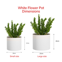 Pot de fleurs sur pied élégant et moderne en fer forgé, durable, écologique, léger, capacité 2-3L, multicolore, pour intérieur