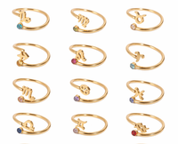 Meistverkaufter Anpassbarer Sternzeichen-Schmuck Edelstahl Sternzeichen-Runen Kubisches Zirkonia Geburtsstein Wasserdichter Verstellbarer Ring