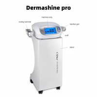 Injecteur d'eau portable Derma Shine PRO avec contrôle précis de la profondeur pour la thérapie de rajeunissement de la peau