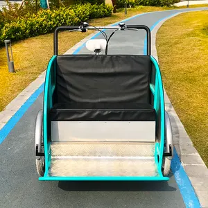 Großhandel elektrische Pedicab e Rikscha