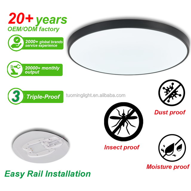 Insect-proof Construction Ceiling Pendant Lamps Lamp Waterproof Led Ceiling Light Ceiling Lamps for Interior