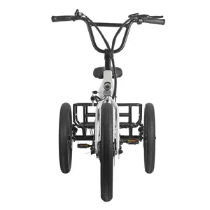 Lehe S9 EEC Trike 3 바퀴 세발자전거 350W Motorised 세발자전거 3 바퀴 오토바이