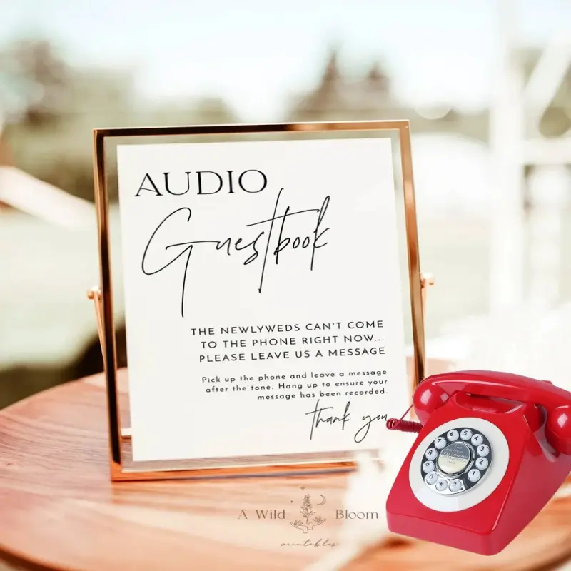 Grabación de Audio para invitados de fiesta de boda, recepción de boda, teléfono de bienvenida, grabadora de graduación, estudio fotográfico