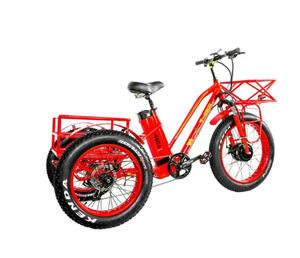 En Stock Triciclo Eléctrico <span class=keywords><strong>de</strong></span> Neumáticos Anchos <span class=keywords><strong>de</strong></span> 20/24 Pulgadas, 750W, <span class=keywords><strong>para</strong></span> Adultos, con Cesta Trasera y <span class=keywords><strong>Caja</strong></span> <span class=keywords><strong>de</strong></span> <span class=keywords><strong>Carga</strong></span> <span class=keywords><strong>para</strong></span> Entregas y Actividades al Aire Libre - Product Image 2