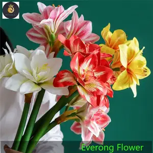 Flores de Clivia artificiales de orquídeas de imitación de alta calidad, plantas de Clivia de orquídeas de tacto Real, 2017 - Product Image 1