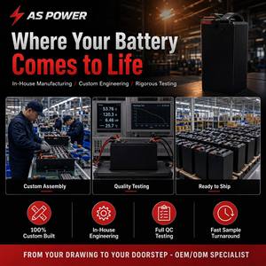 Op maat gemaakte lithium batterijpakketten OEM snelle prototyping 3-7 dagen prototype elke spanning capaciteit formaat voor drone stofzuiger elektrisch gereedschap robot - Product Image 6