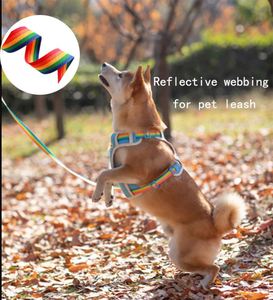 Source Manufacturer Wholesale <b>Rainbow</b> Ribbon Used in Backpacks and Various Accessories - Product Image 2