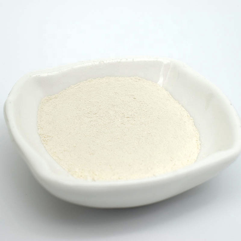 Shellight Organic Intermediate Mushroom Chitosan Powder