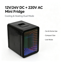 Mini-réfrigérateur de voiture 10L avec bande LED, porte miroir superposée, refroidissement et chauffage, faible consommation d'énergie