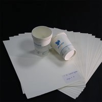 Rouleau de papier alimentaire avec fond en papier pour matériaux bruts, enduit de PE double face, pour jus, thé, emballages alimentaires en carton