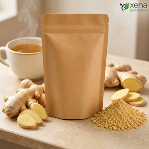 Fabricant d'extrait de gingembre biologique en poudre, fournisseur en gros OEM d'extrait naturel de racine de gingembre - Product Image 1