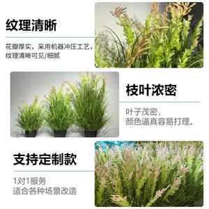 Planta Artificial de Hierba de Caña, Bonsái de 30cm-100cm de Altura, Simulación Realista, Decoración de Interiores, Vegetación - Product Image 3